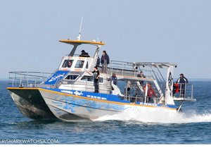 Wilfred se Dream Catcher